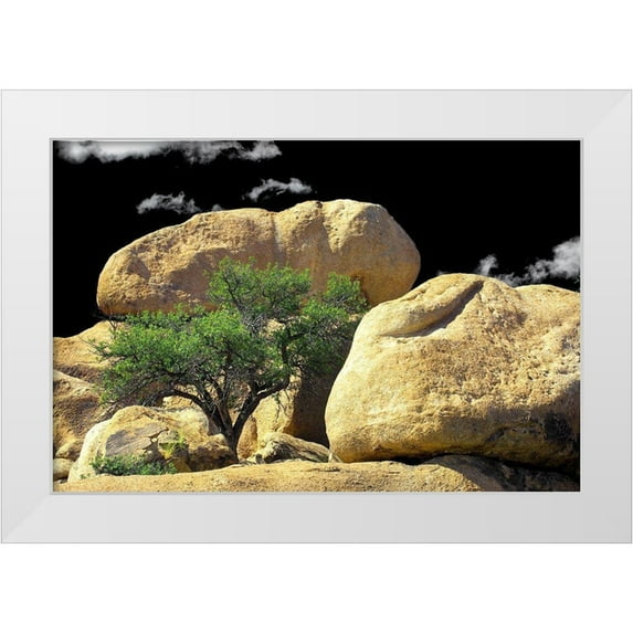 Taylor, Douglas 14x11 White Modern Wood Framed Museum Art Print Titled - Texas Canyon Rox and Rolls