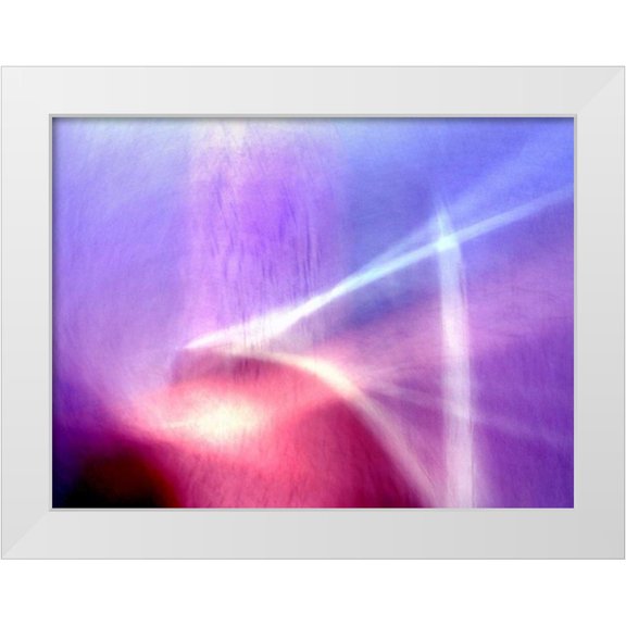 Taylor, Douglas 14x12 White Modern Wood Framed Museum Art Print Titled - Sunken Forest