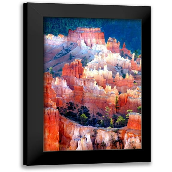 Taylor, Douglas 17x24 Black Modern Framed Museum Art Print Titled - Inspiring Light