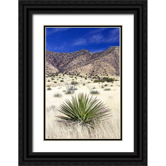 Taylor, Douglas 17x24 Black Ornate Wood Framed with Double Matting Museum Art Print Titled - Desert Grasslands I