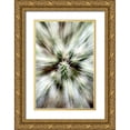 thumbnail image 1 of Taylor, Douglas 17x24 Gold Ornate Wood Framed with Double Matting Museum Art Print Titled - Cactus Spines, 1 of 4