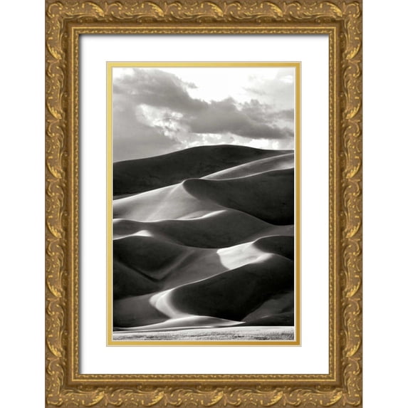 Taylor, Douglas 17x24 Gold Ornate Wood Framed with Double Matting Museum Art Print Titled - Great Sand Dunes III BW