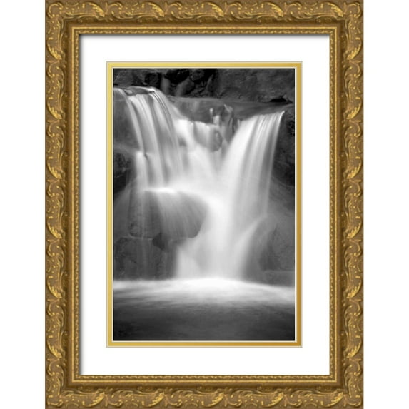 Taylor, Douglas 17x24 Gold Ornate Wood Framed with Double Matting Museum Art Print Titled - Twilight Waterfall II BW