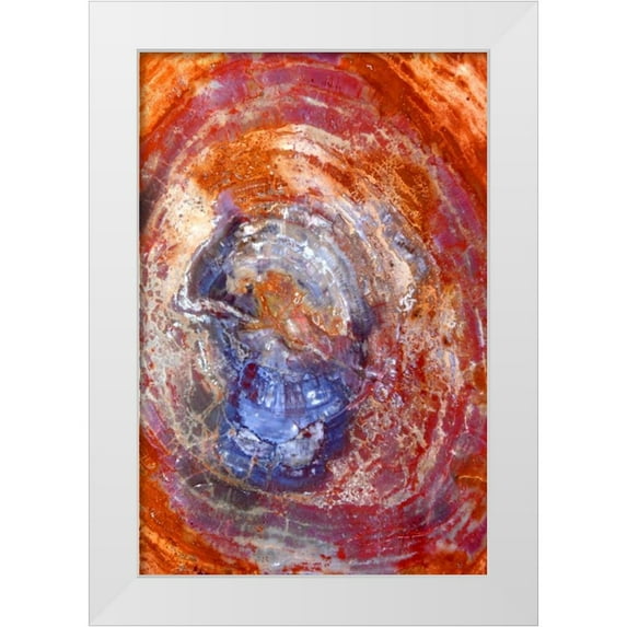 Taylor, Douglas 17x24 White Modern Wood Framed Museum Art Print Titled - Slice of Color