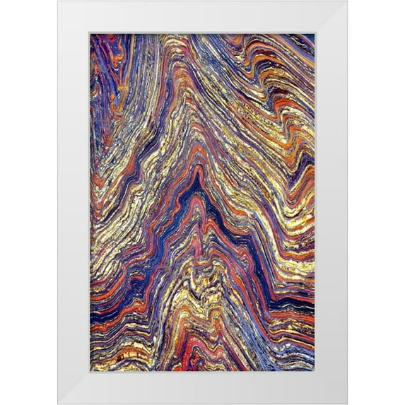 Taylor, Douglas 17x24 White Modern Wood Framed Museum Art Print Titled - Tiger Iron I
