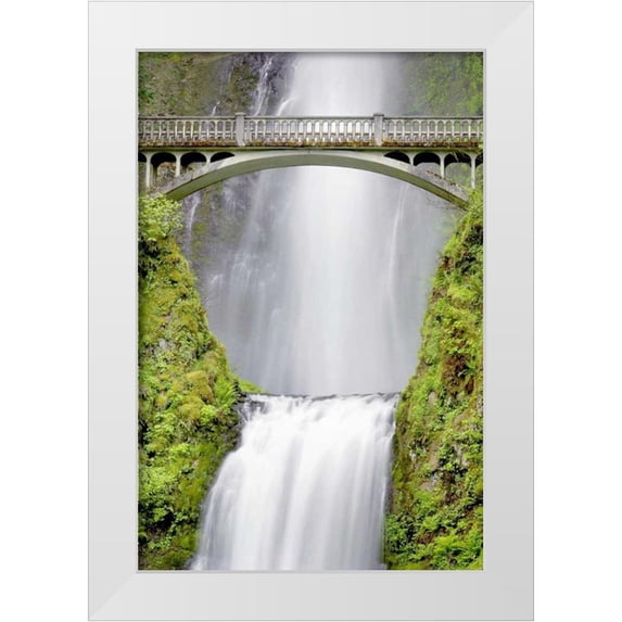 Taylor, Douglas 17x24 White Modern Wood Framed Museum Art Print Titled - Water Under the Bridge