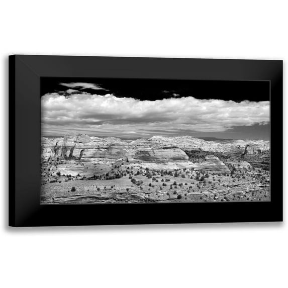 Taylor, Douglas 18x12 Black Modern Framed Museum Art Print Titled - Slick Rock County BW