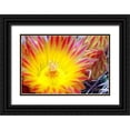 thumbnail image 1 of Taylor, Douglas 18x13 Black Ornate Wood Framed with Double Matting Museum Art Print Titled - Cactus Flower I, 1 of 4