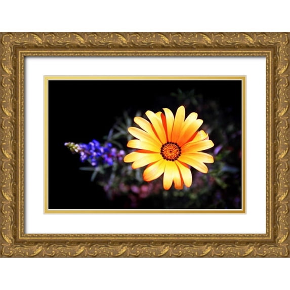 Taylor, Douglas 18x13 Gold Ornate Wood Framed with Double Matting Museum Art Print Titled - Desert Exotic