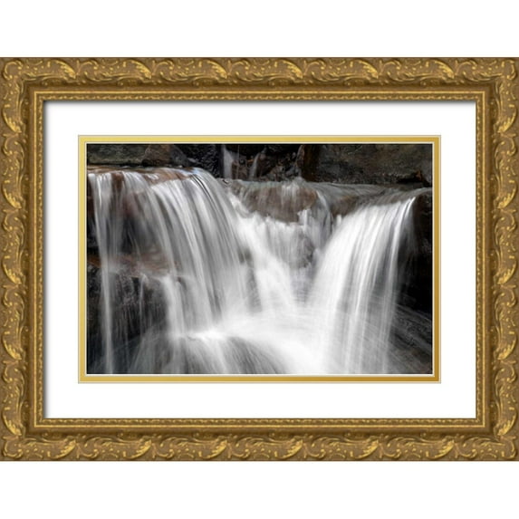 Taylor, Douglas 18x13 Gold Ornate Wood Framed with Double Matting Museum Art Print Titled - Falling Water II