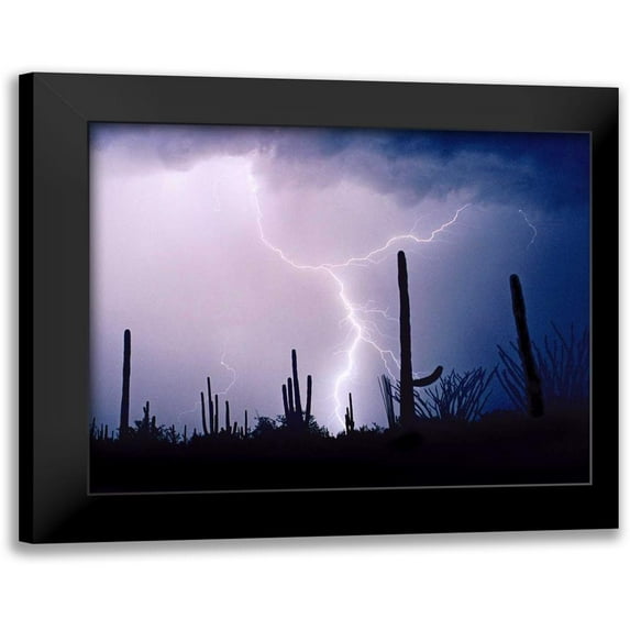 Taylor, Douglas 18x15 Black Modern Framed Museum Art Print Titled - Electric Desert II