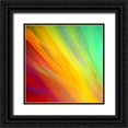 thumbnail image 1 of Taylor, Douglas 20x20 Black Ornate Wood Framed with Double Matting Museum Art Print Titled - Brushfire I, 1 of 4
