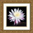 thumbnail image 1 of Taylor, Douglas 20x20 Gold Ornate Wood Framed with Double Matting Museum Art Print Titled - Queen of the Night I, 1 of 4