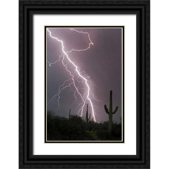 Taylor, Douglas 23x32 Black Ornate Wood Framed with Double Matting Museum Art Print Titled - Fire and Rain