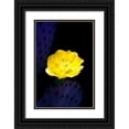 thumbnail image 1 of Taylor, Douglas 23x32 Black Ornate Wood Framed with Double Matting Museum Art Print Titled - Prickly Pear Cactus Blossom, 1 of 4