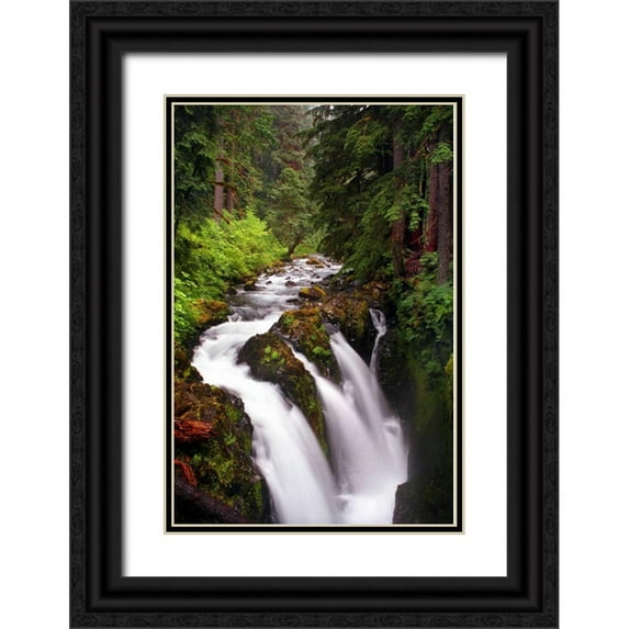 Taylor, Douglas 23x32 Black Ornate Wood Framed with Double Matting Museum Art Print Titled - Sol Duc River Falls