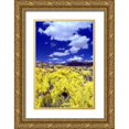 thumbnail image 1 of Taylor, Douglas 23x32 Gold Ornate Wood Framed with Double Matting Museum Art Print Titled - Palo Verde Bloom, 1 of 4