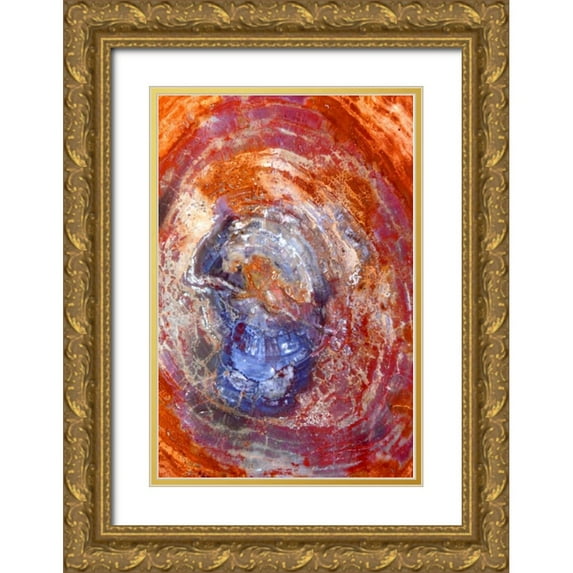 Taylor, Douglas 23x32 Gold Ornate Wood Framed with Double Matting Museum Art Print Titled - Slice of Color