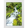 thumbnail image 1 of Taylor, Douglas 23x32 White Modern Wood Framed Museum Art Print Titled - Mountain Stream, 1 of 4