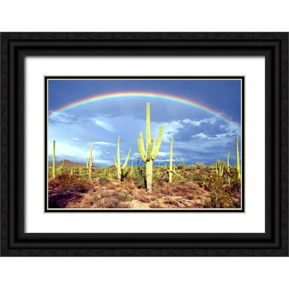 Taylor, Douglas 24x17 Black Ornate Wood Framed with Double Matting Museum Art Print Titled - Desert Blessing II