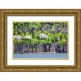 thumbnail image 1 of Taylor, Douglas 24x17 Gold Ornate Wood Framed with Double Matting Museum Art Print Titled - Columbia Gorge, 1 of 4