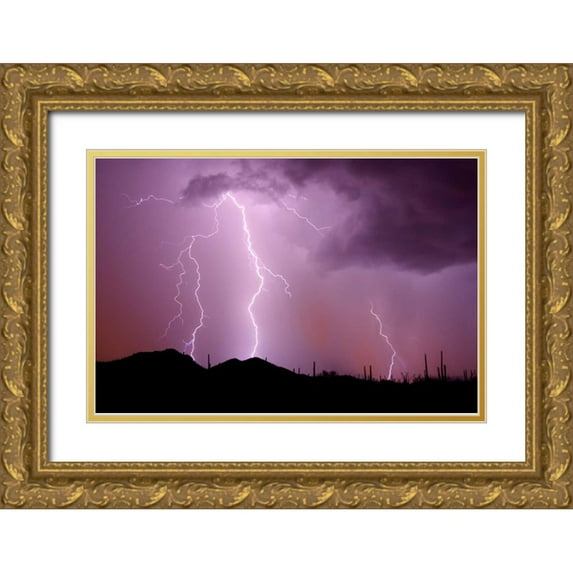 Taylor, Douglas 24x17 Gold Ornate Wood Framed with Double Matting Museum Art Print Titled - Striking Symmetry II