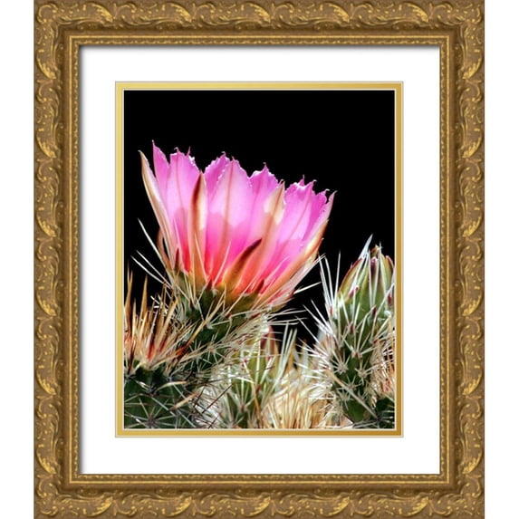 Taylor, Douglas 26x32 Gold Ornate Wood Framed with Double Matting Museum Art Print Titled - Armed and Beautiful