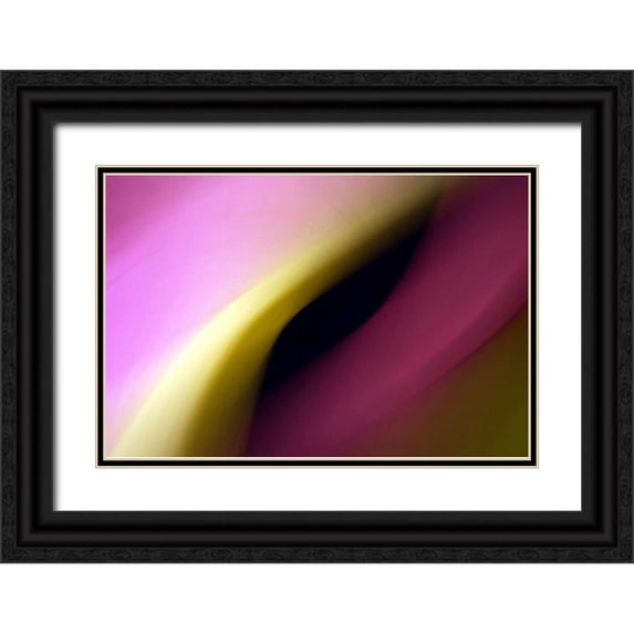 Taylor, Douglas 32x23 Black Ornate Wood Framed with Double Matting Museum Art Print Titled - Twisted Beams I