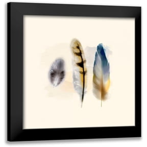 Taylor, Evangeline 12x12 Black Modern Framed Museum Art Print Titled - Three Feather Study 2
