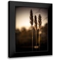thumbnail image 1 of Taylor, Glenn 11x14 Black Modern Framed Museum Art Print Titled - Grasses Trio, 1 of 5