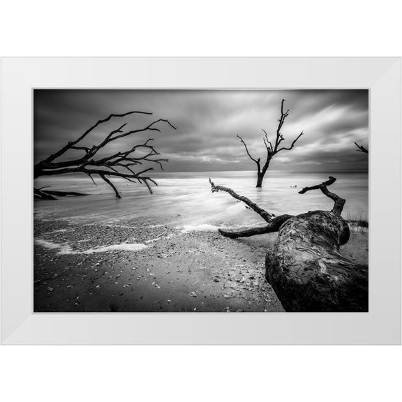 Taylor, Glenn 14x11 White Modern Wood Framed Museum Art Print Titled - Mercurial Drift