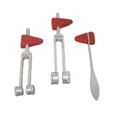 Taylor Hammer with 256 cps Tuning Fork