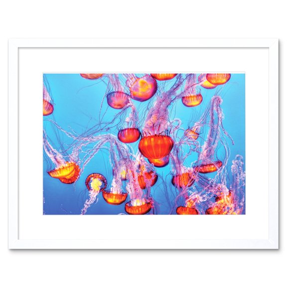 Taylor Jellyfish Framed Wall Art Print