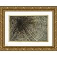 thumbnail image 1 of Taylor, Kari 14x11 Gold Ornate Wood Framed with Double Matting Museum Art Print Titled - Enmeshed, 1 of 4