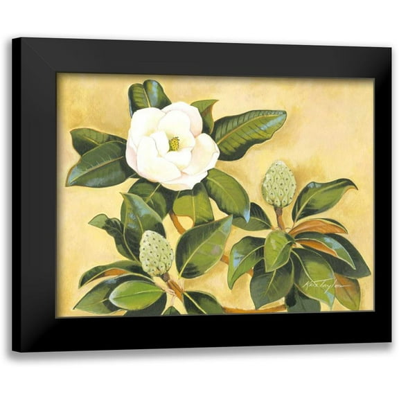 Taylor, Kris 14x12 Black Modern Framed Museum Art Print Titled - Southern Magnolia II