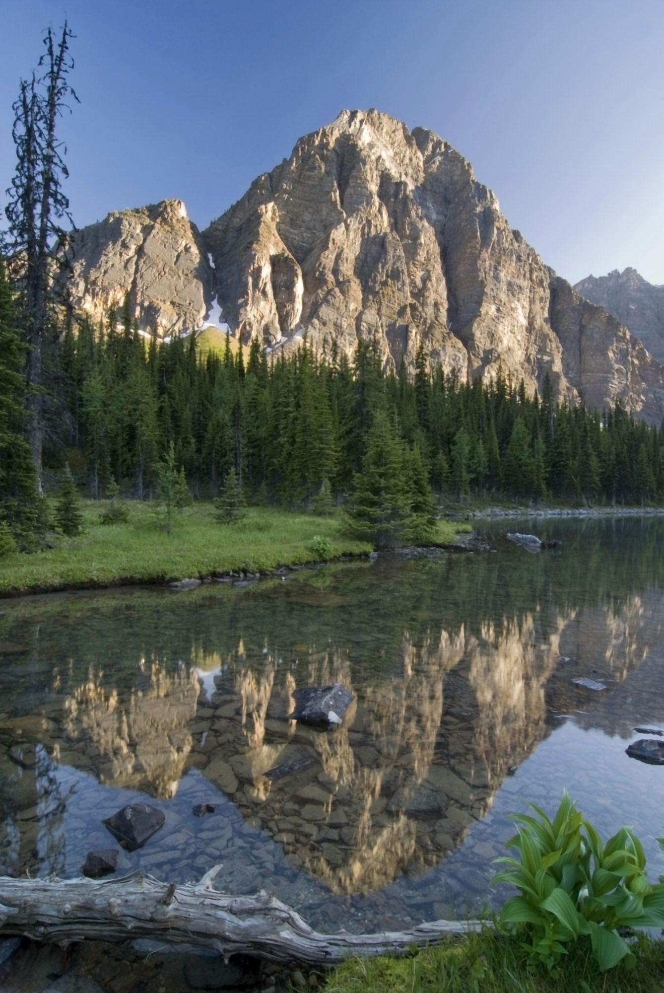 Taylor Lake Banff National Park Alberta Canada Canvas Art - Philippe Widling Design Pics (22 x 34)