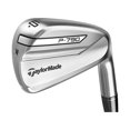 thumbnail image 1 of Taylor Made P790 Iron Set 4-PW (Steel Dynamic Gold 105 Stiff) NEW, 1 of 1