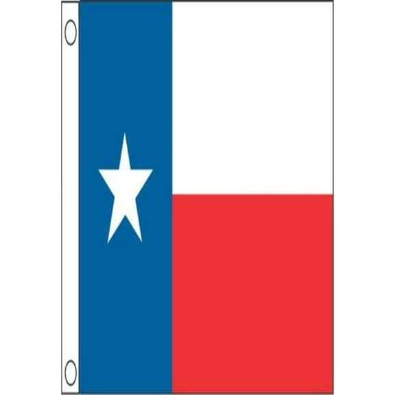 Taylor Made Products 2318 Texas Boat Flag (12" x 18")