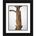 thumbnail image 1 of Taylor, Mike 12x14 Black Ornate Wood Framed with Double Matting Museum Art Print Titled - Camouflage, 1 of 4