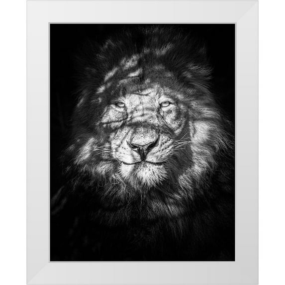 Taylor, Mike 12x14 White Modern Wood Framed Museum Art Print Titled - Being Watched