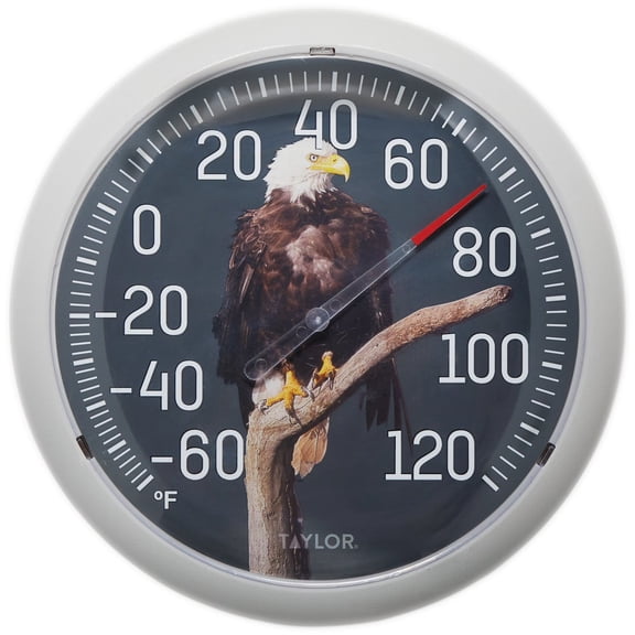 Taylor Nature Series Eagle Indoor Outdoor Dial Thermometer, Easy to Read Wall Decor for Patio, Pool, Yard, Garden or Garage, 13.25 Inch, Gray Bezel