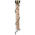 thumbnail image 1 of Taylor Precision 484BZN Rain Gauge 27" Hx5 Cap, 1 of 1