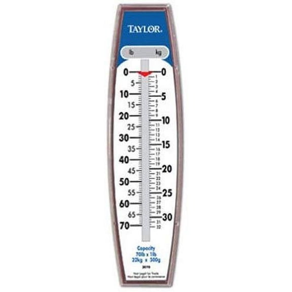 Taylor Precision Products Analog Hanging Scale - 70 lb Capacity - White Residential Use, Standard Application