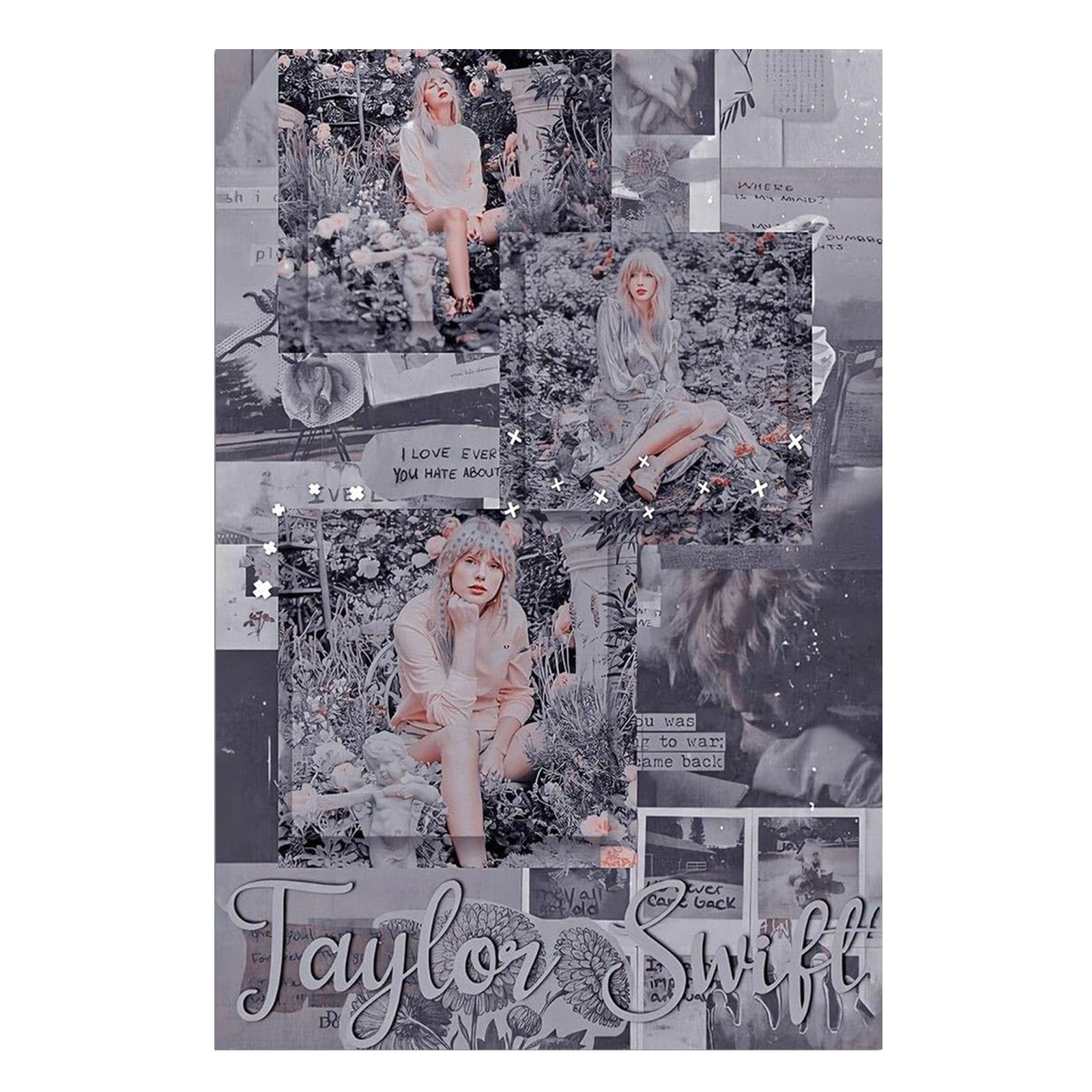 Speak Now Taylor Swift Minimalist Album Cover Poster