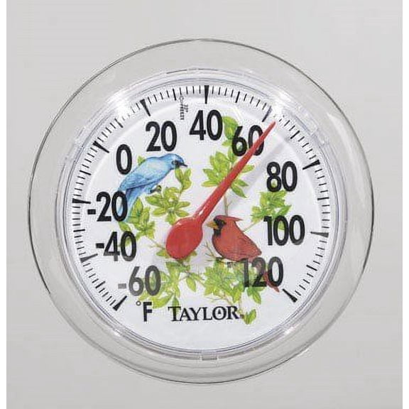 Taylor Thermometer Indoor/Outdoor -60 To 120 Deg F 6" Dia. Clear10