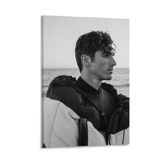 Taylor Zakhar Perez22 Canvas Wall Art Prints Poster Gifts Photo Picture Painting Posters Room Decor Home Decorative 08x12inch(20x30cm)