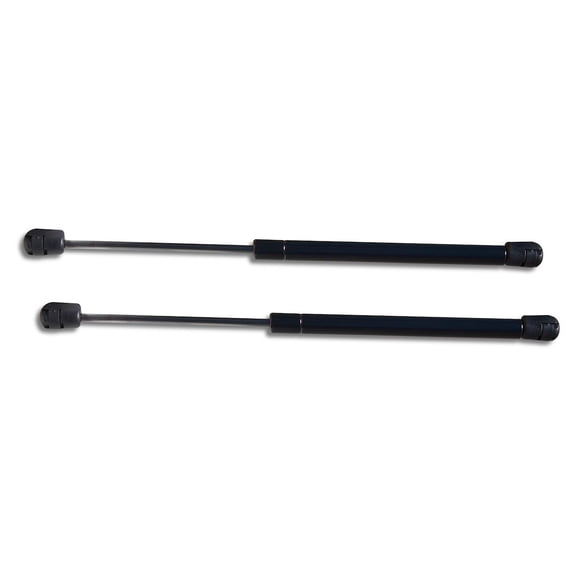 Taylor Made 83610 Boat Dock Box Lift Support Pneumatic Type 15L Set Of 2