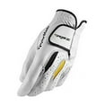 thumbnail interactive-video image 1 of Taylormade RBZ Tech Golf Glove, Worn on Left Hand, M/L, 1 of 3