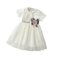thumbnail image 1 of Tbopshirt Baby Girls Dresses Summer,Toddler Girl Dresses,1-4 Years Summer Girls' Children's Dress Short Sleeve Mesh Princess Skirt Baby Girls' Dress, 1 of 3