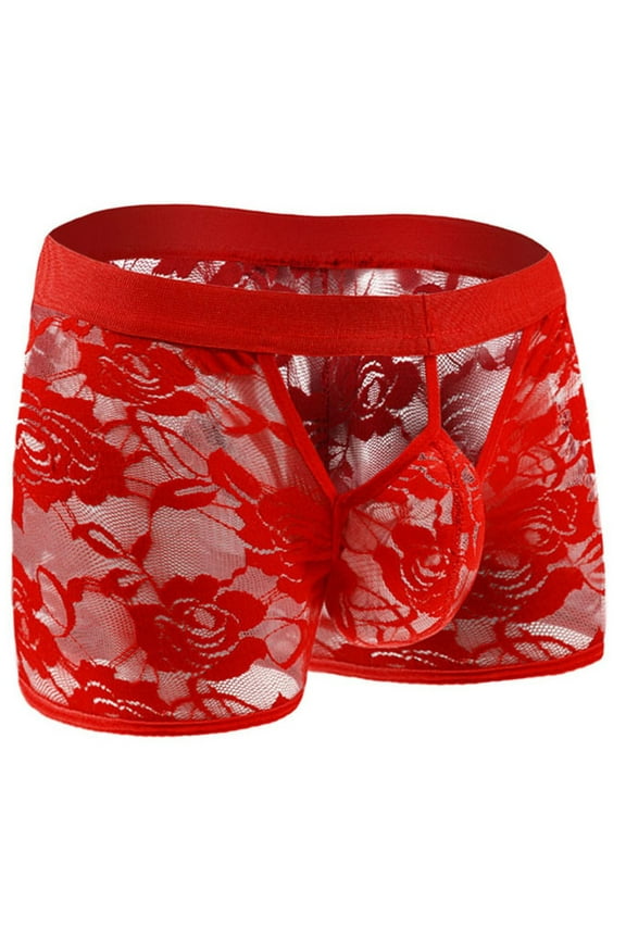 Men's Underwear Briefs Clearance,Men Briefs Transparent Shorts Mens Underpants Men's Lace Trunks Underwear for Man,Mens Gift